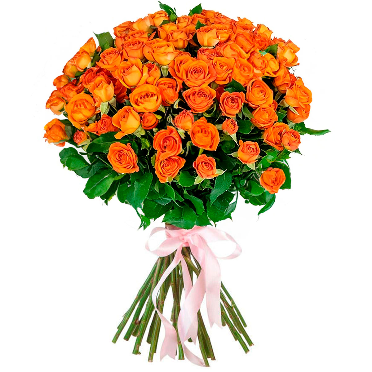 Розы Кустовые оранжевые
